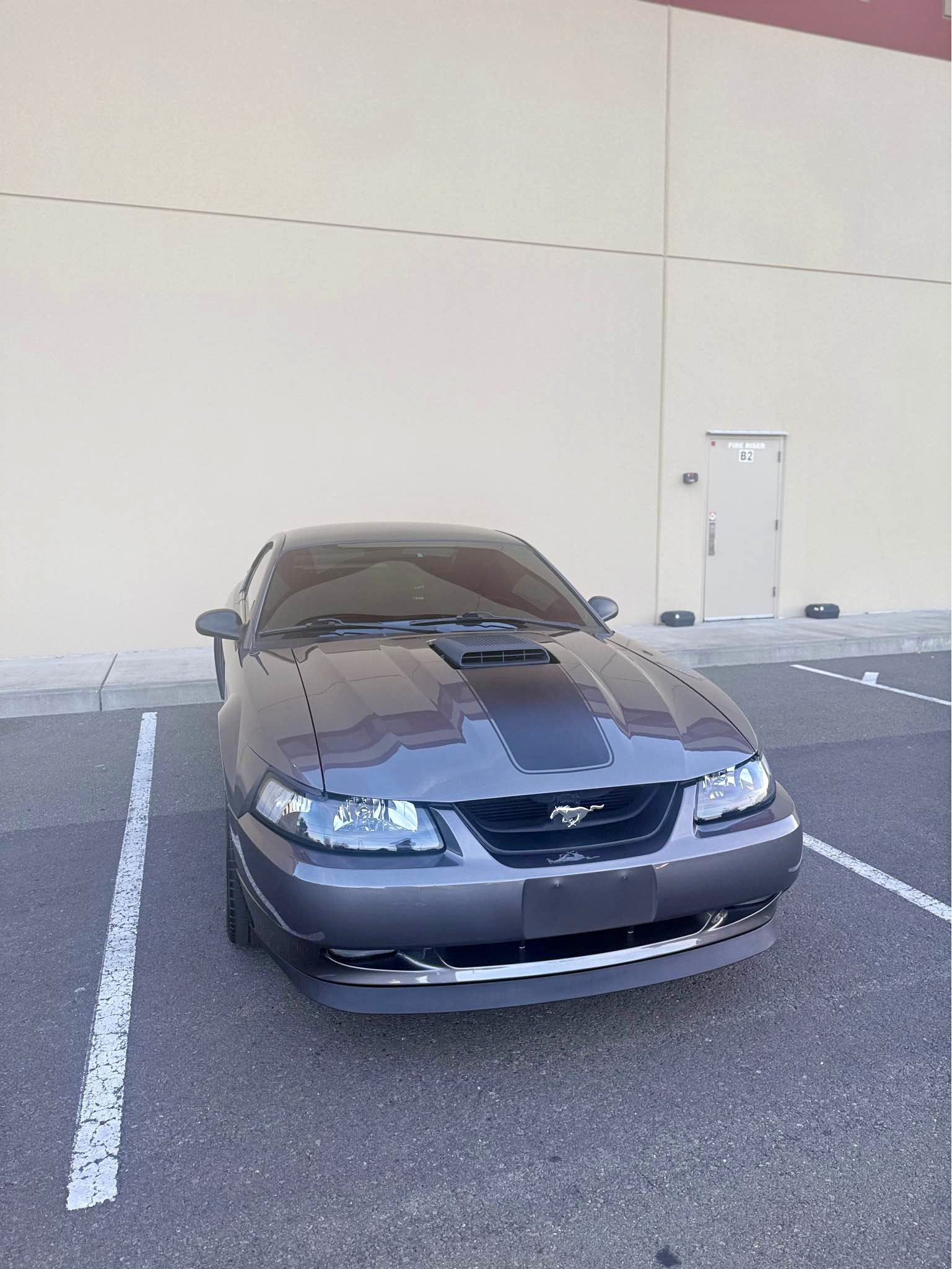 2003 Ford Mustang - Mach 1