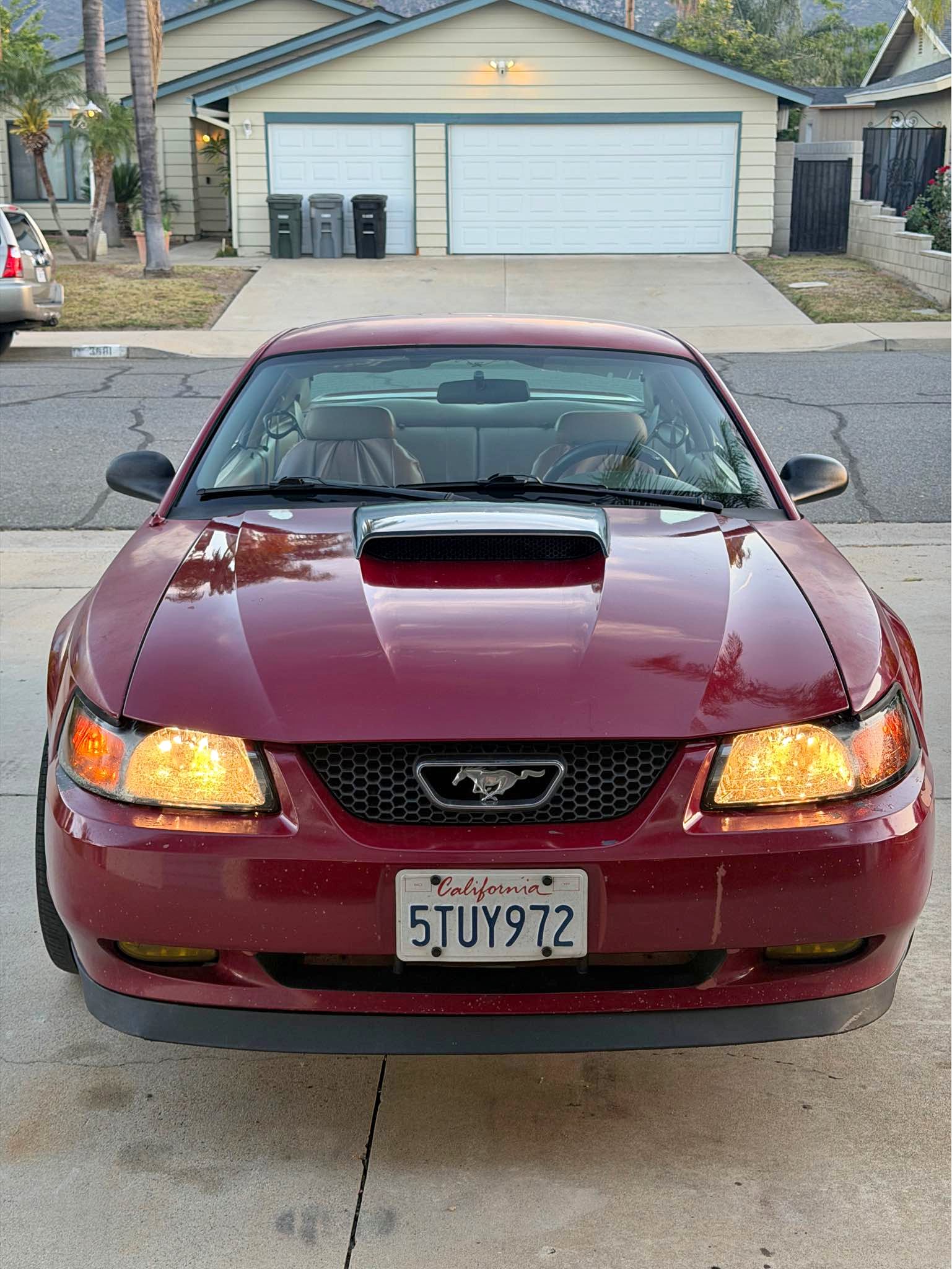 2000 Ford Mustang - GT Coupe 2D