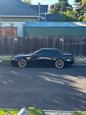 2000 Ford Mustang - GT Convertible 2D