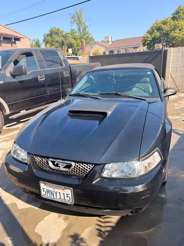 2004 Ford Mustang - GT Convertible 2D