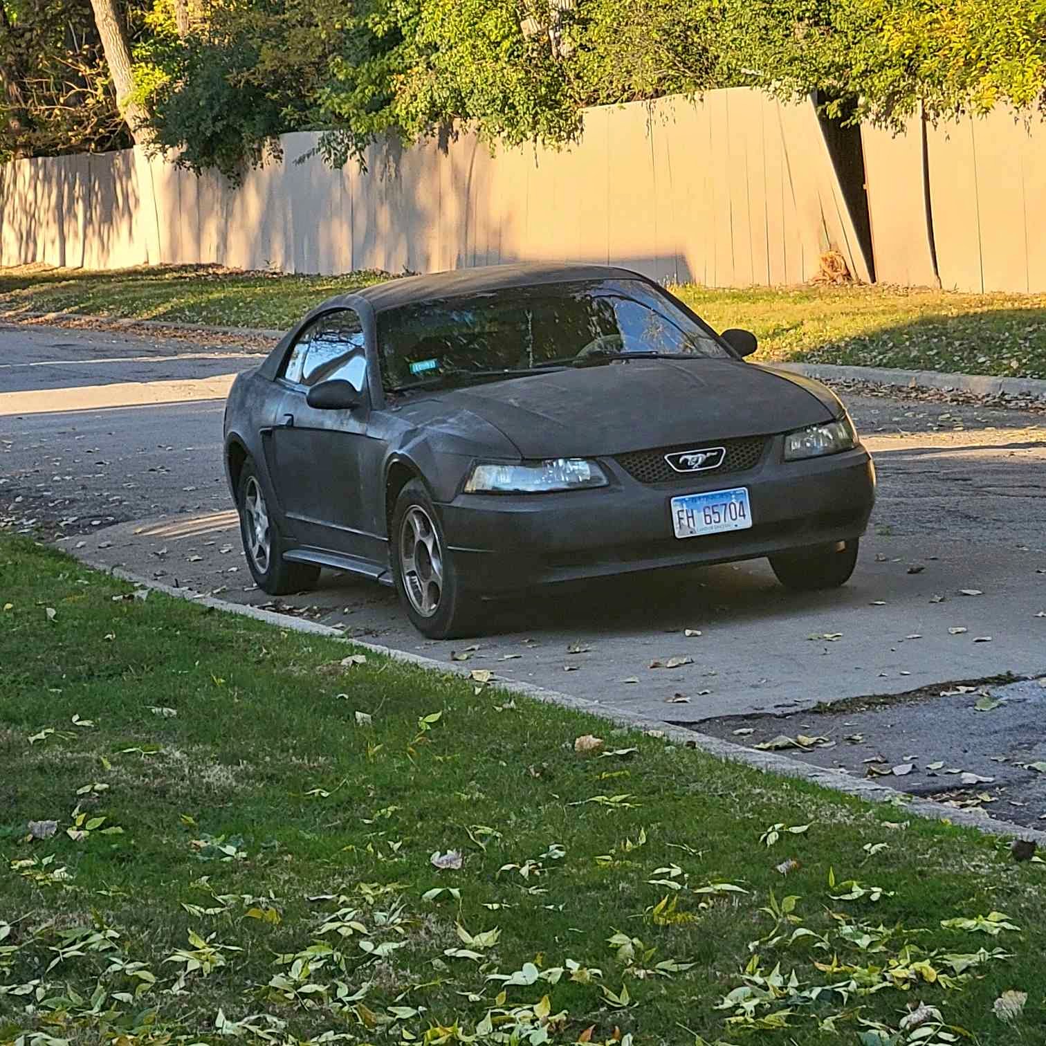 2004 Ford Mustang - 40th anniversary