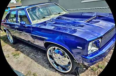 1979 Chevrolet nova