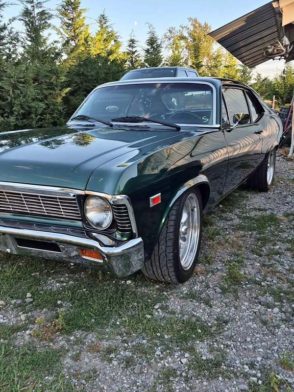 1969 Chevrolet nova