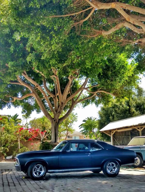 1969 Chevrolet SS - NOVA
