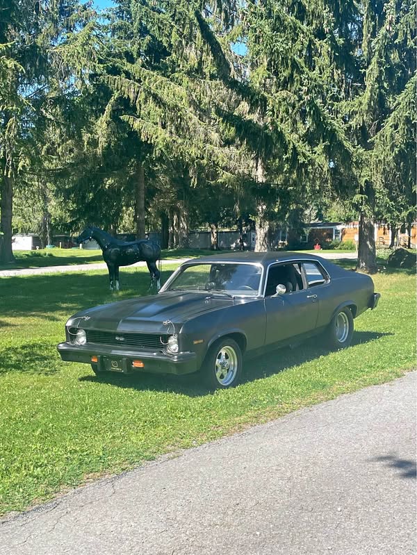 1973 Chevrolet nova