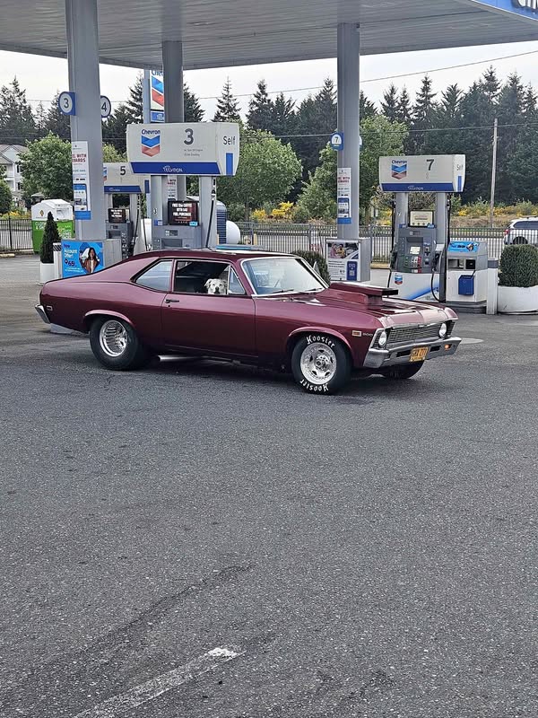 1969 Chevrolet 1969 chevy nova - Basic