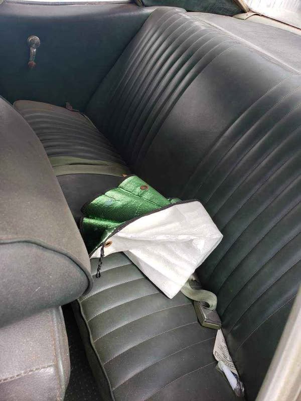 1969 Chevrolet nova - Green