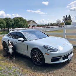 2017 Porsche porsche+panamera