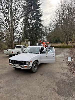 1981 Toyota pickup