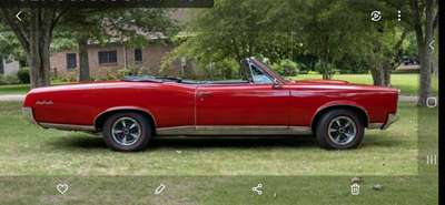 1967 Pontiac GTO - Convertible
