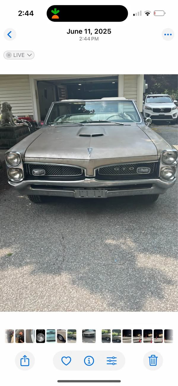 1967 Pontiac GTO - Convertible