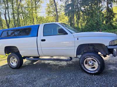 2001 Dodge Ram 1500 Regular Cab - Long Bed