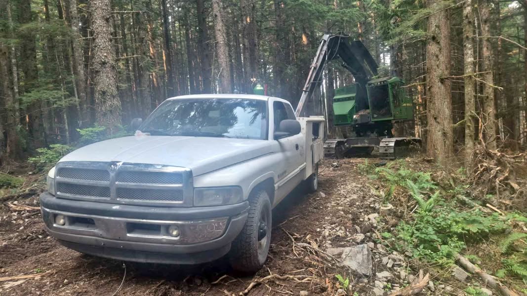 2001 Dodge Ram 2500 Quad Cab - SLT Pickup 4D 8 ft