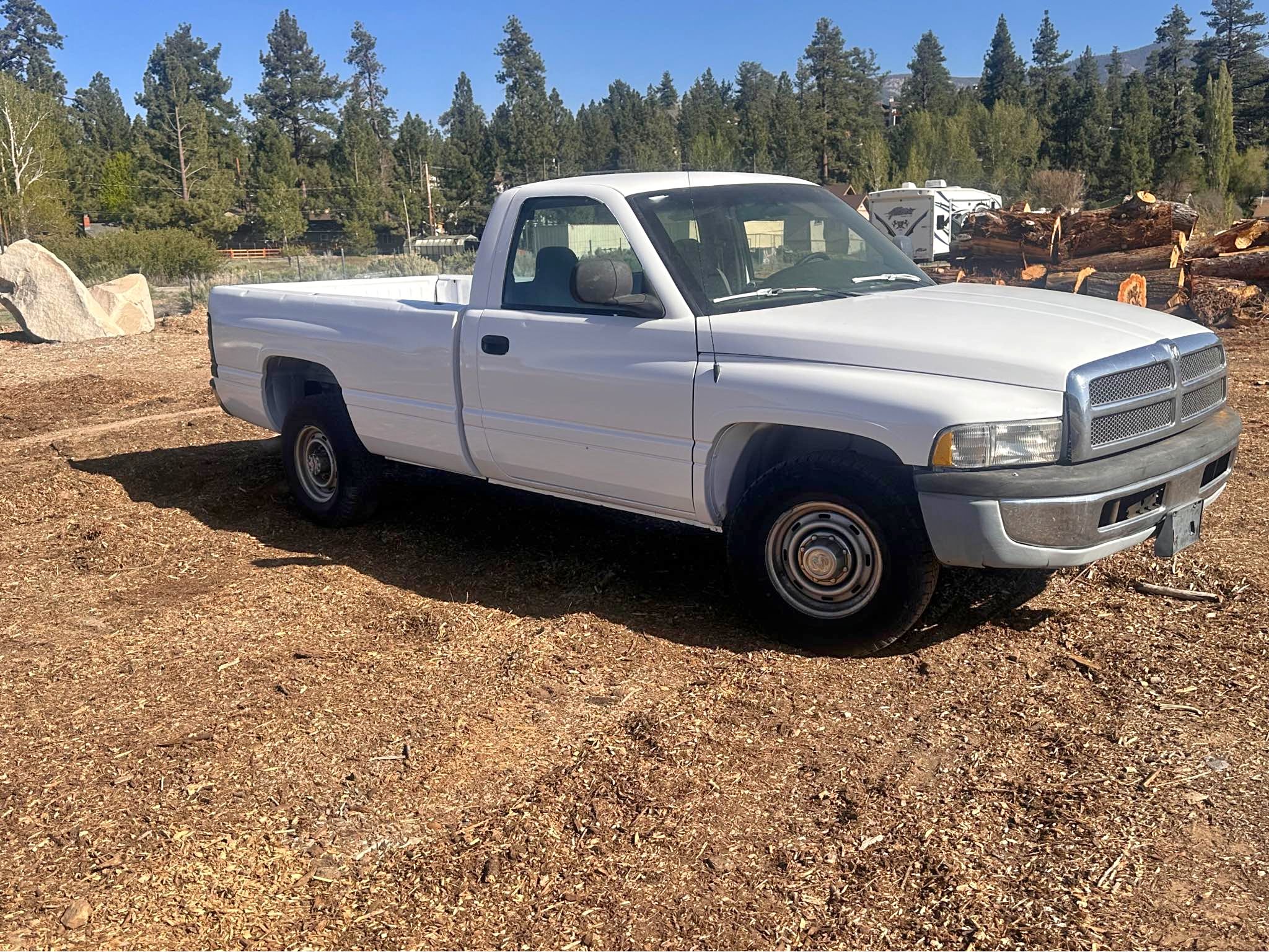 1999 Dodge Ram 2500 Regular Cab - HD Long Bed