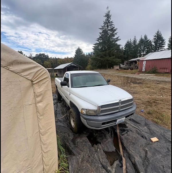 1996 Dodge Ram 1500 Regular Cab - Long Bed