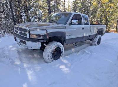 1997 Dodge Ram 1500 Regular Cab - Long Bed