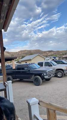 1998 Dodge Ram 1500 Crew Cab - Laramie Pickup 4D 5 1\/2 ft