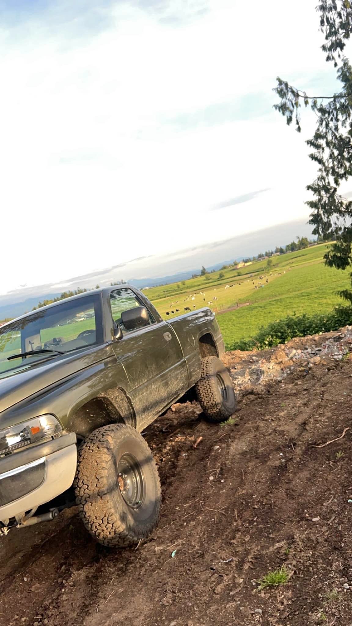 1995 Dodge Ram 1500 - Laramie Pickup 2D 6 1\/4 ft