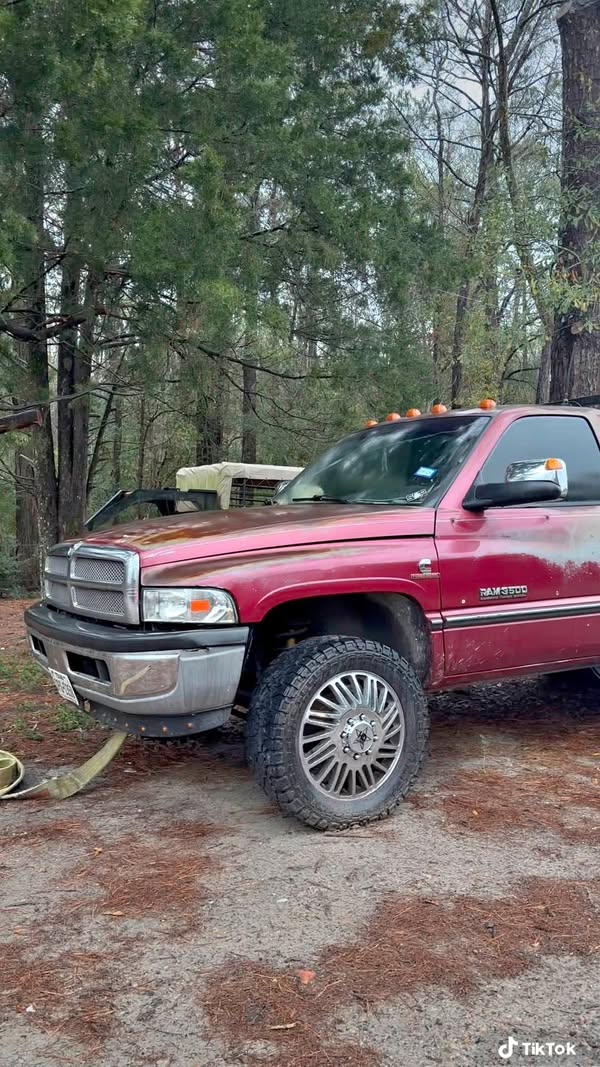 1994 Dodge Ram 3500 Regular Cab & Chassis - 139\