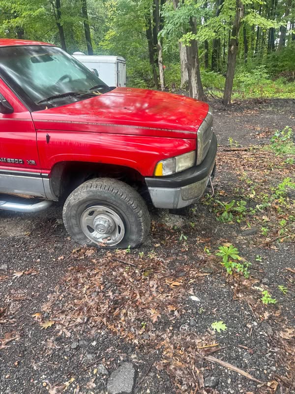 1994 Dodge Ram 2500 Regular Cab - HD Long Bed