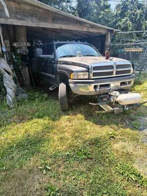 1994 Dodge Ram 3500 Regular Cab - SLT Pickup 2D 8 ft
