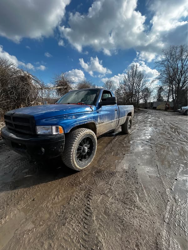 1994 Dodge Ram 1500 Regular Cab - Long Bed