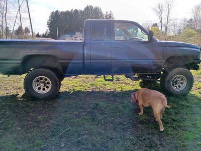 1998 Dodge Ram 1500 Quad Cab - Laramie Pickup 4D 6 1\/4 ft