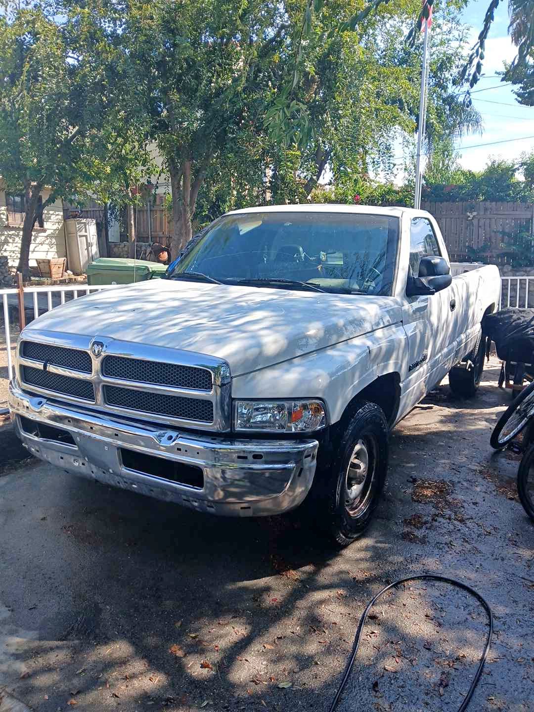 2001 Dodge Ram 1500 Regular Cab - Long Bed