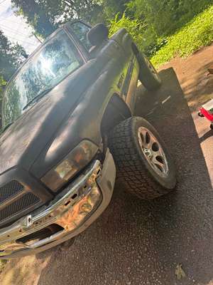 2001 Dodge Ram 1500 Regular Cab - Salt