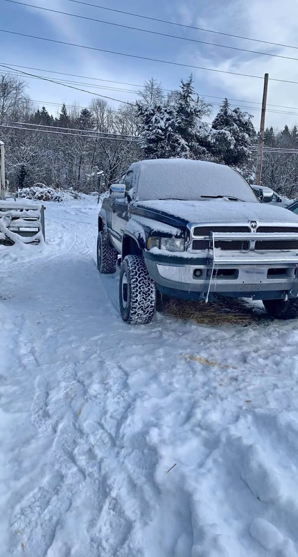 1994 Dodge Ram 1500 Regular Cab - Short Bed