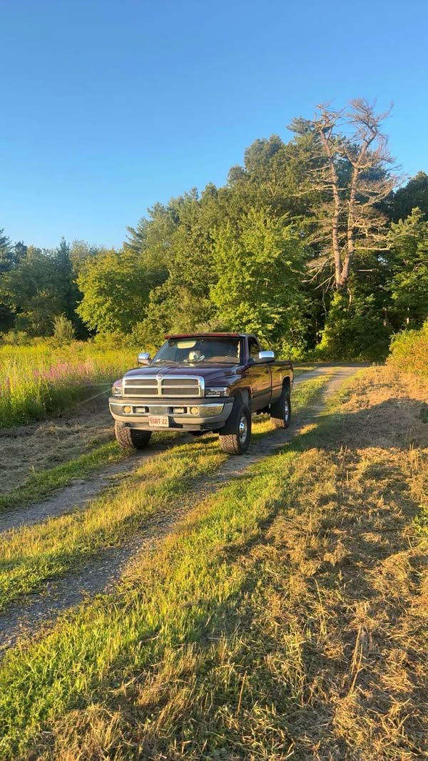 2001 Dodge Ram 2500 - SLT Pickup 2D 8 ft