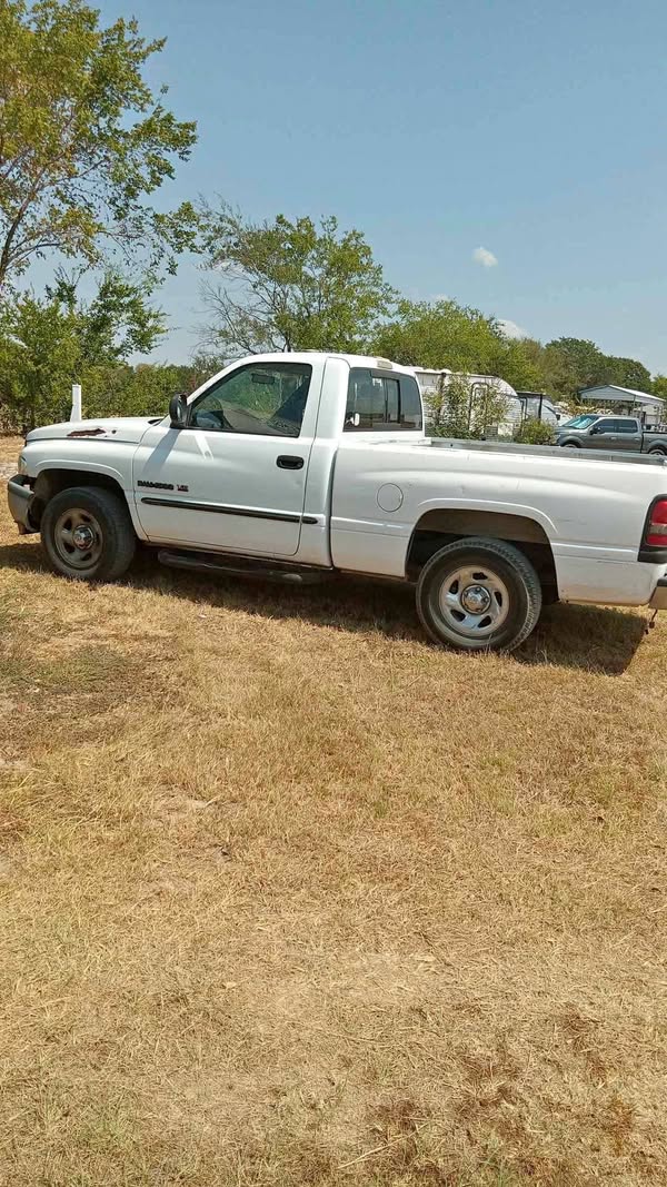 2001 Dodge Ram 1500 Regular Cab - Short Bed