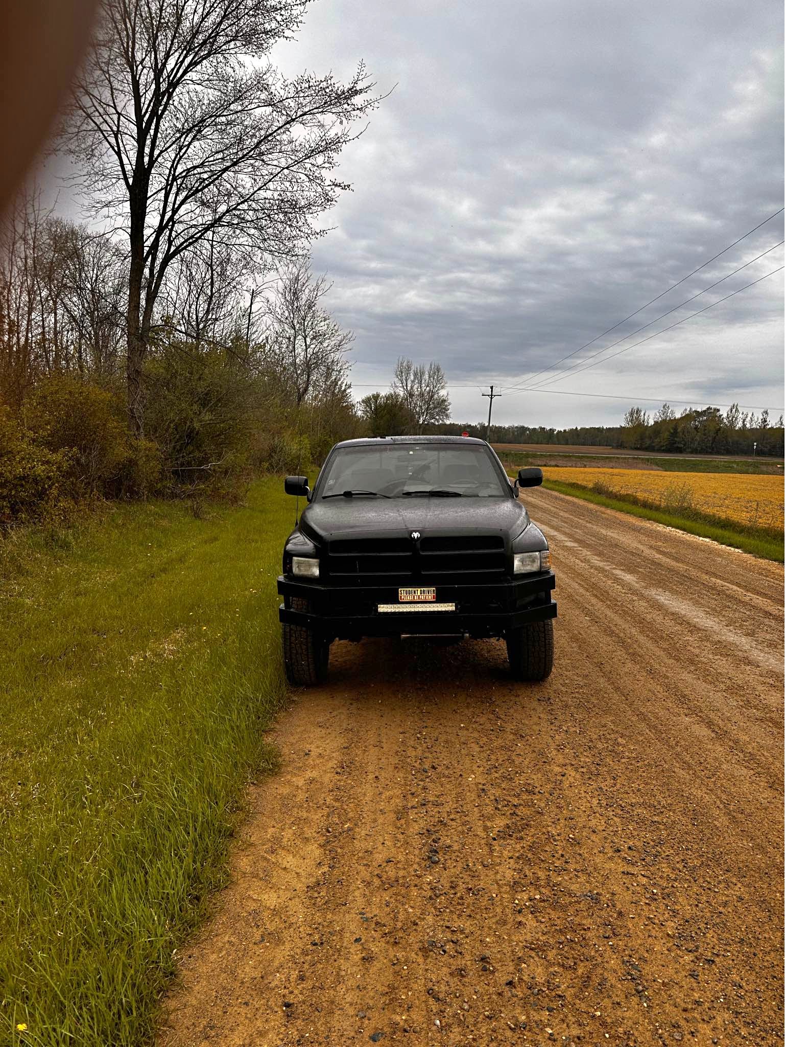1995 Dodge Ram 1500 - Laramie Pickup 4D 8 ft