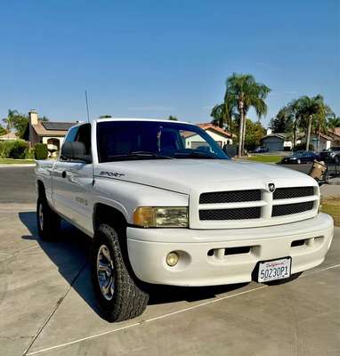 2001 Dodge Ram 1500 Regular Cab - Short Bed