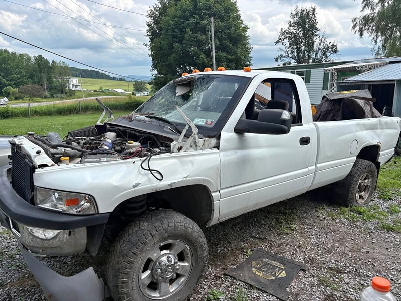 1994 Dodge Ram 2500 Regular Cab - HD Long Bed