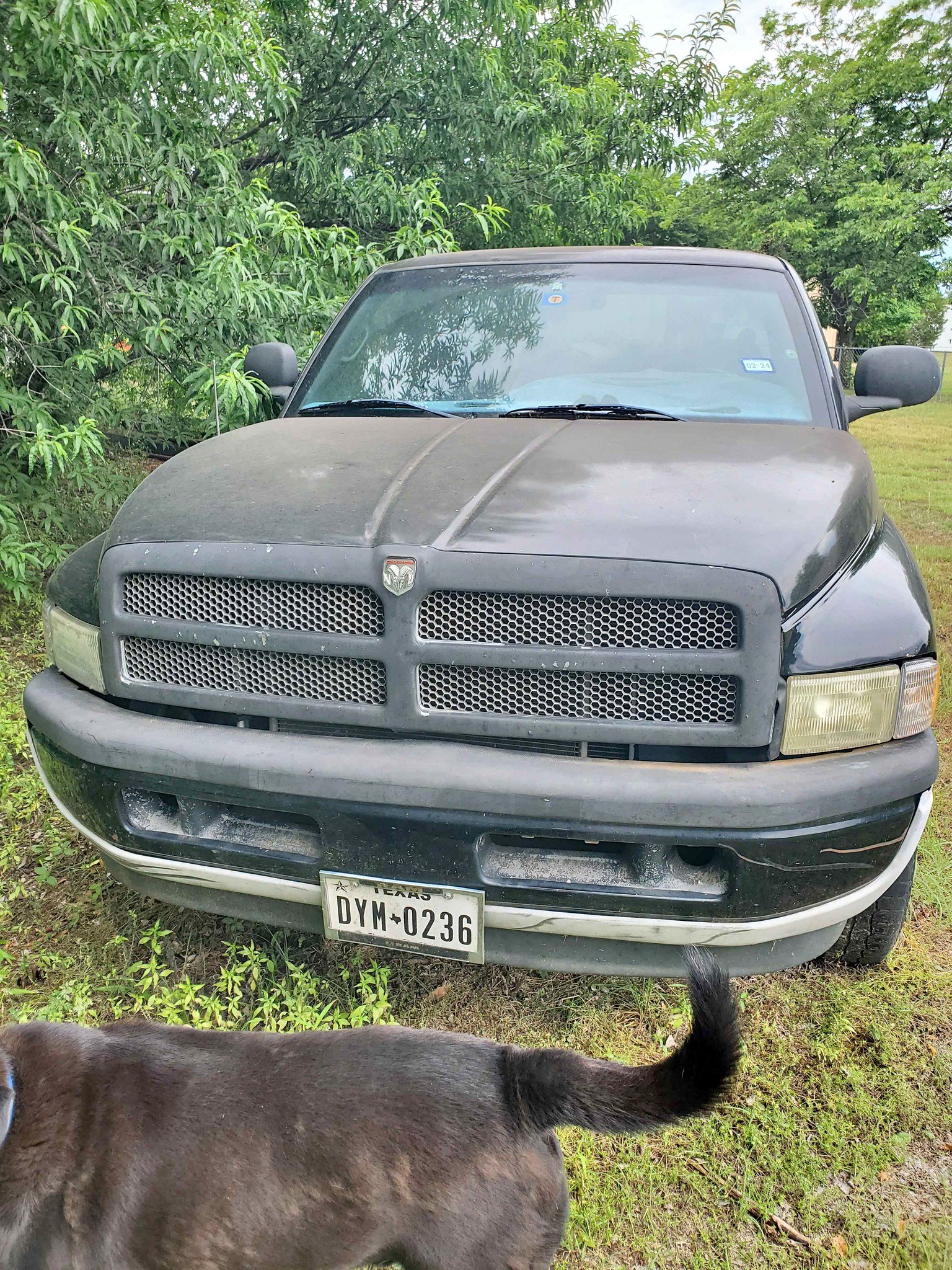 2001 Dodge Ram 1500 Club Cab - Short Bed