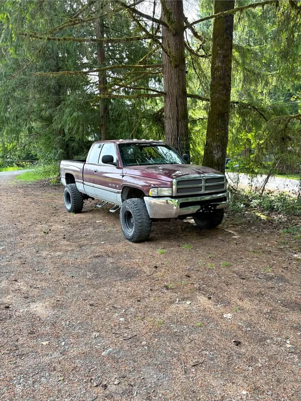 2001 Dodge Ram 1500 Crew Cab - SLT Pickup 4D 5 1\/2 ft