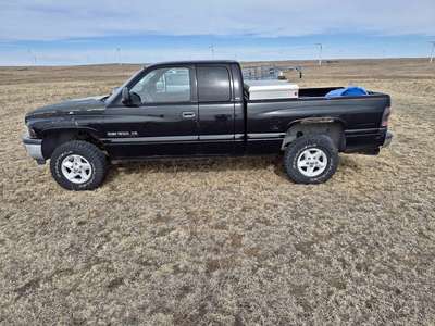 2000 Dodge Ram 1500 Regular Cab - Short Bed