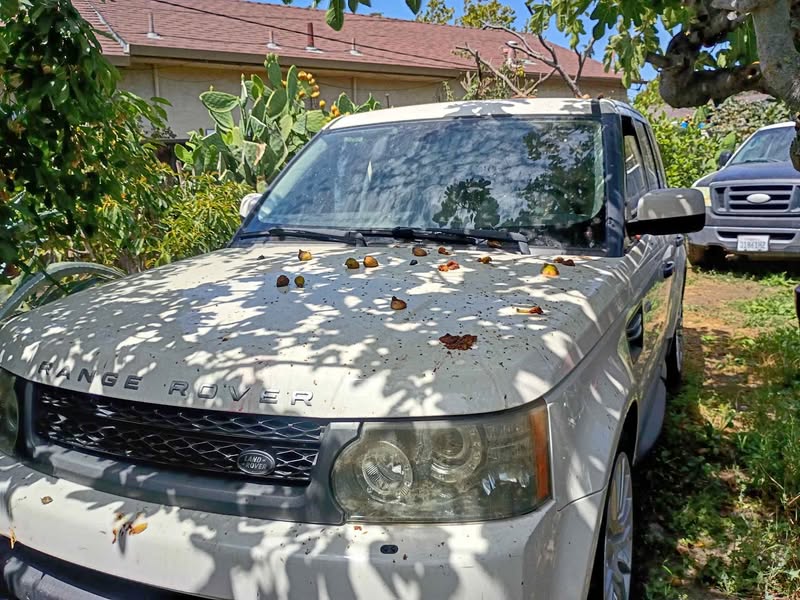 2012 Land Rover Range Rover Sport - HSE (2019.5) Sport Utility 4D