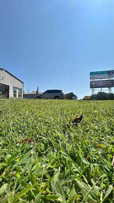 2012 Land Rover Range Rover Sport - Supercharged Dynamic Sport Utility 4D