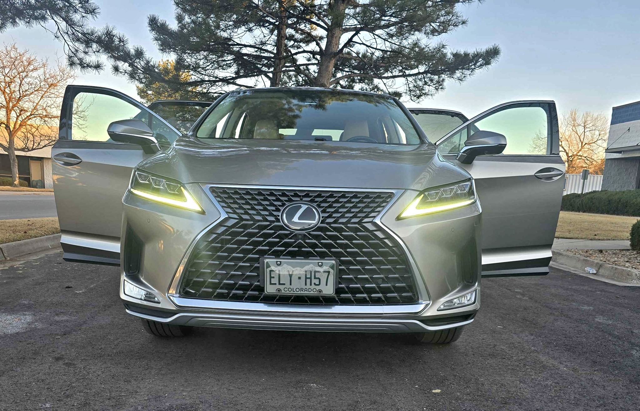 2020 Lexus RX - RX 350 Luxury Sport Utility 4D