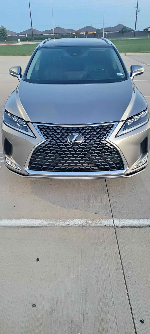 2020 Lexus RX - RX 350 Premium+ Sport Utility 4D