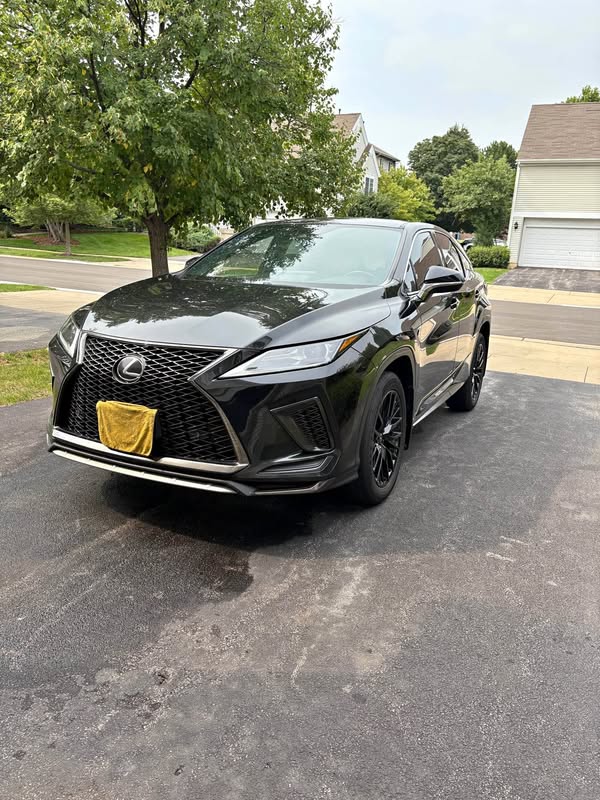 2020 Lexus RX - RX 350 F SPORT SUV 4D