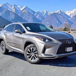 2021 Lexus RX 350  \ud83e\udd18