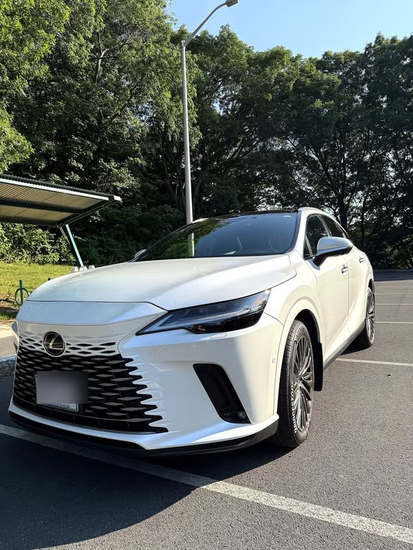 2024 Lexus RX 350 Luxury AWD - Luxury