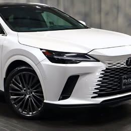 2024 Lexus RX 350 Luxury - 36850 Miles PA17090