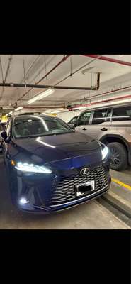 2025 Lexus RX - RX 350 Luxury Sport Utility 4D