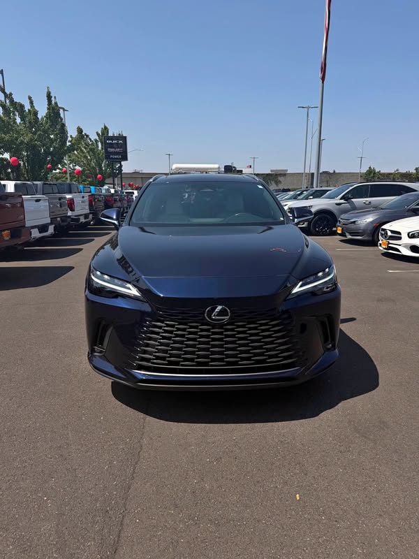 2024 Lexus RX - RX 350 Premium+ Sport Utility 4D