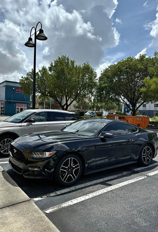 2017 Ford Mustang - EcoBoost Coupe 2D