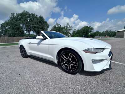 2019 Ford Mustang - Ecoboost Premium